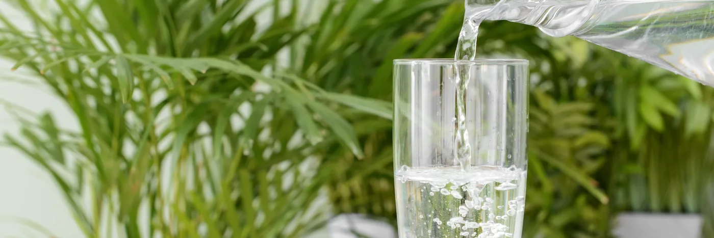 Water being poured into a clear glass on a table, with green foliage behind.